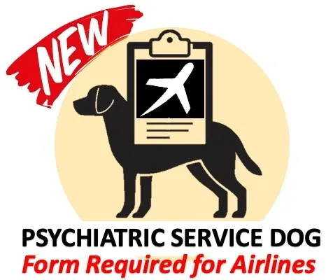 Service dog during travel