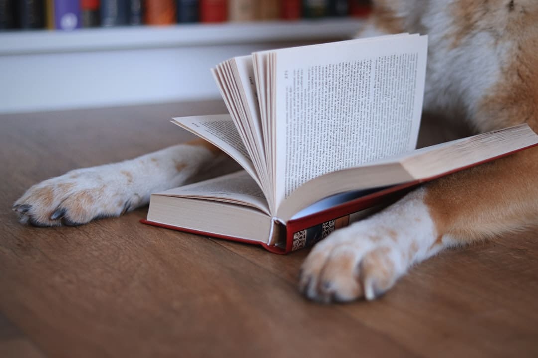 corporate therapy dogs — Dog paws resting on an open book