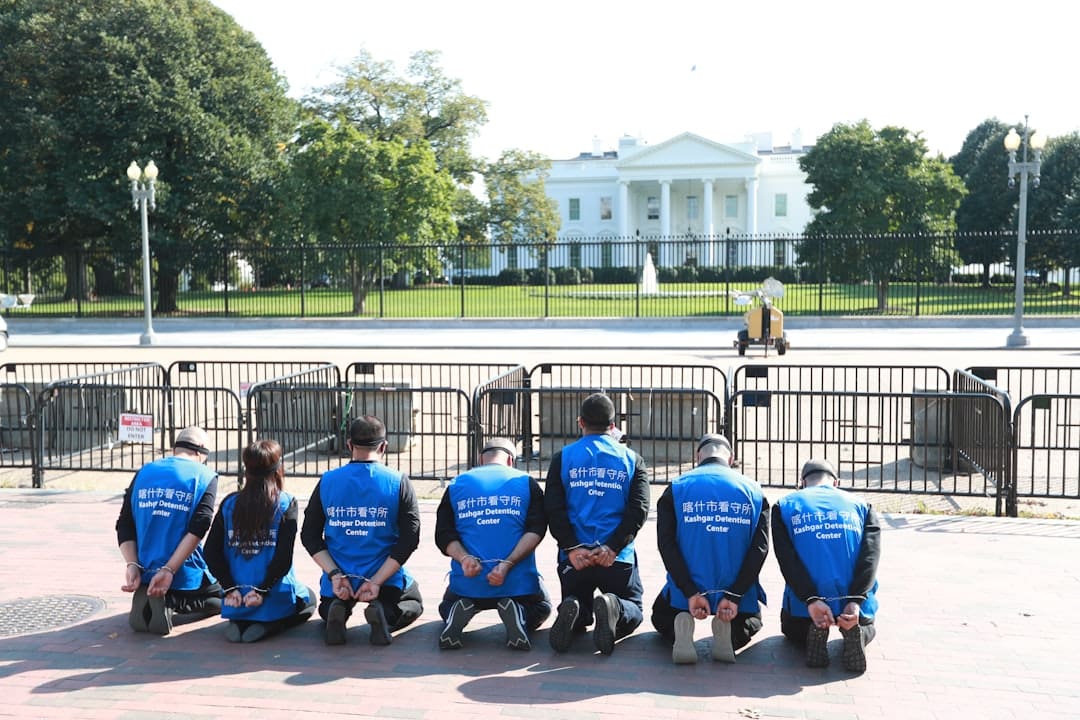volunteer hours — people in blue shirt sitting on bench during daytime