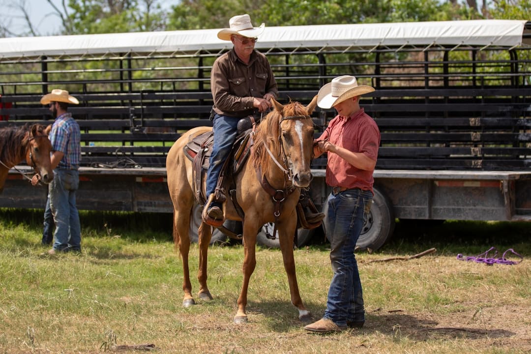 advanced therapy dog skills — A group of men standing around a brown horse