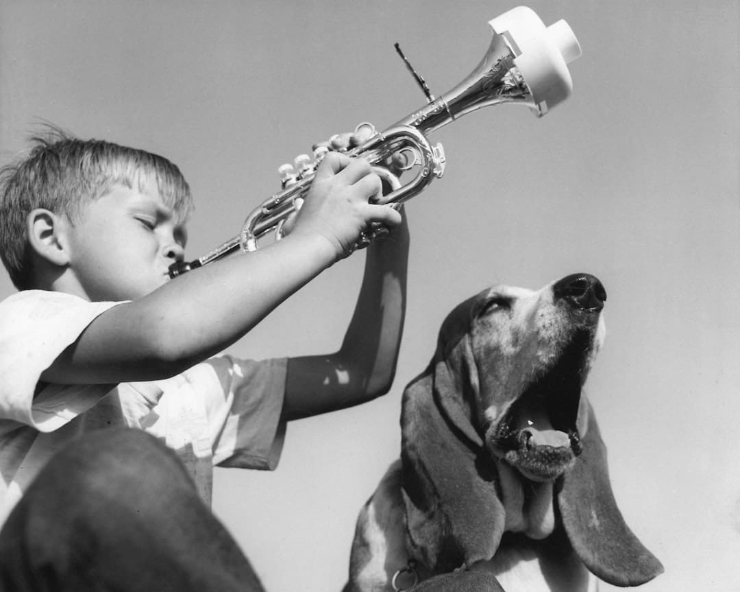 pediatric therapy dog — Boy plays trumpet next to a howling basset hound