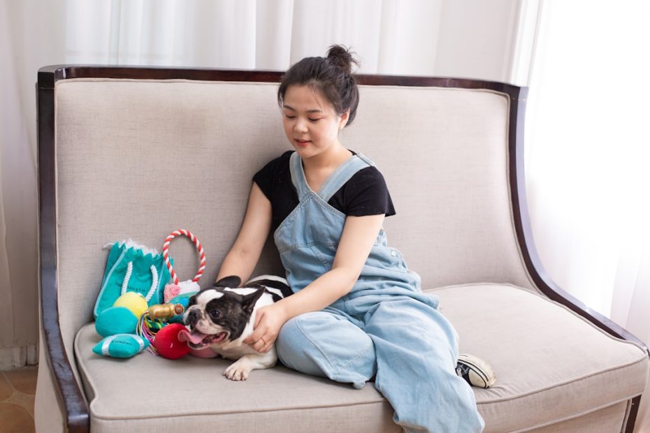 therapy dog volunteer — Therapy Dog Volunteer Career: From First Evaluation to First Visit