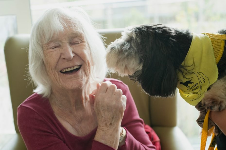 university stress relief — University Therapy Dog Programs: How Campus Stress Relief Events Actually Work