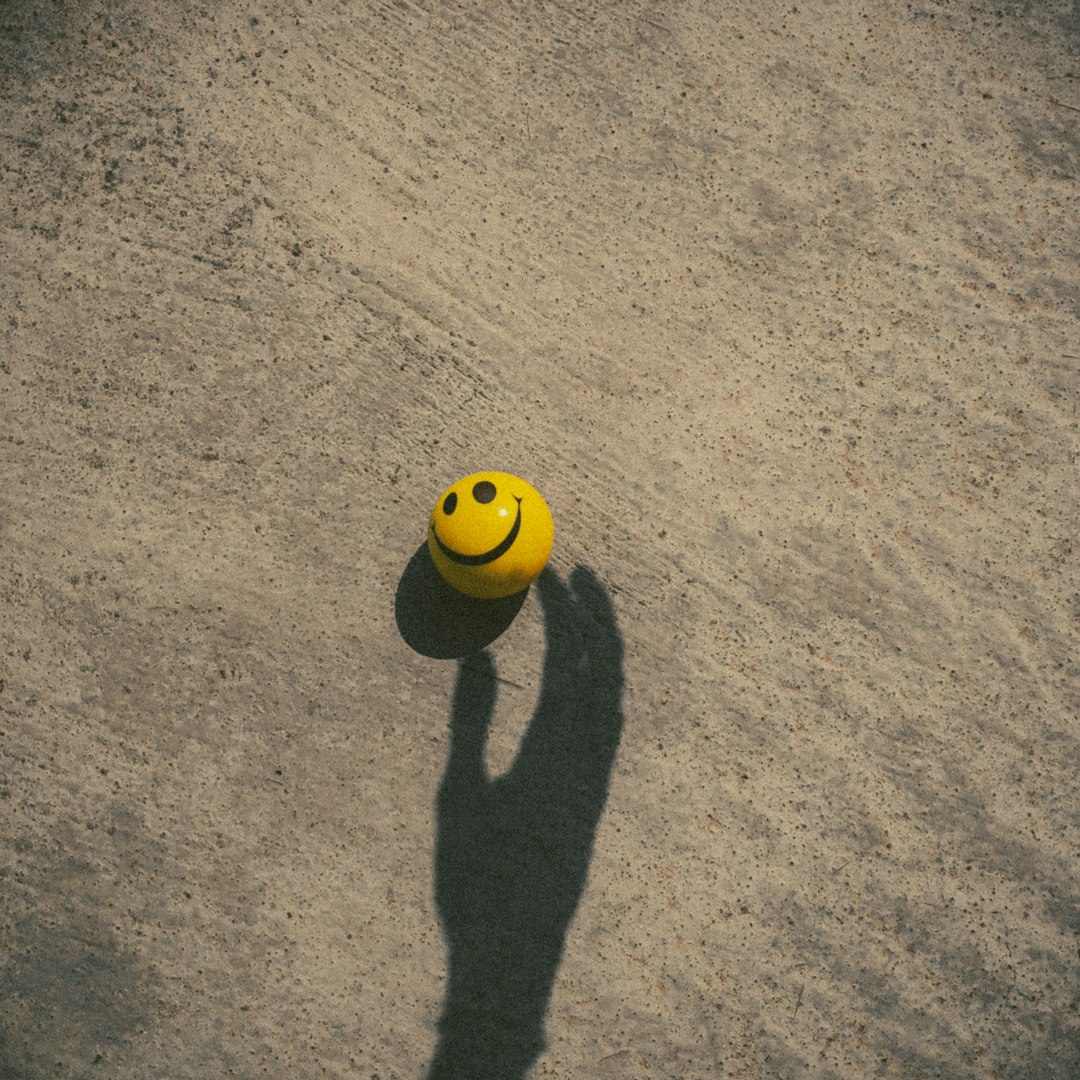 therapy dog research — yellow and black soccer ball on brown carpet