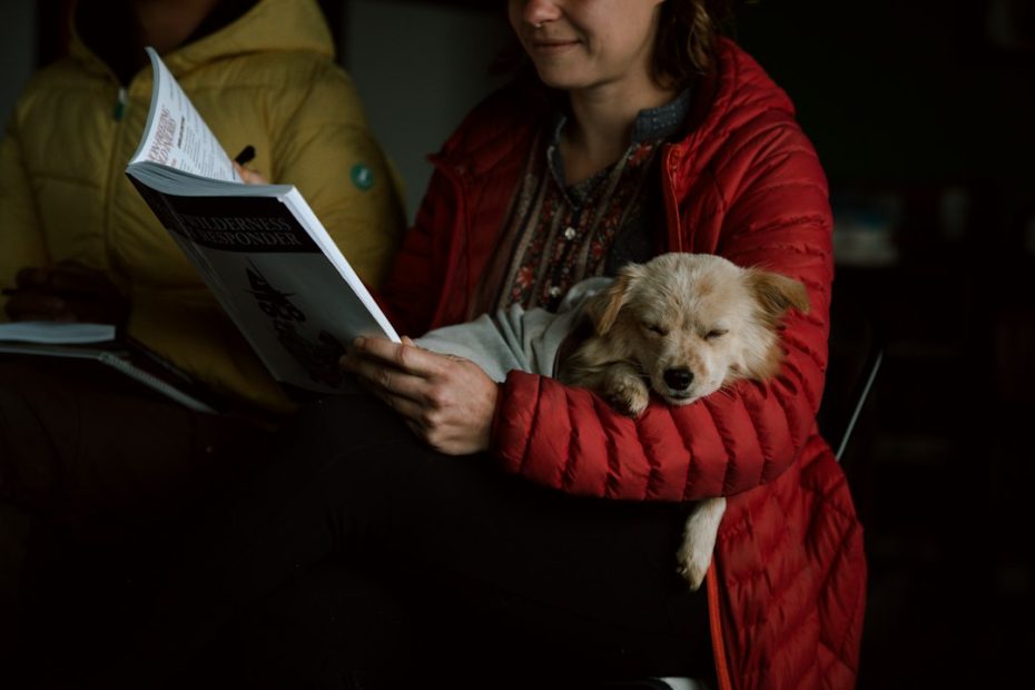 courthouse therapy dogs — Courthouse Therapy Dogs: How Victim Advocacy Programs Operate