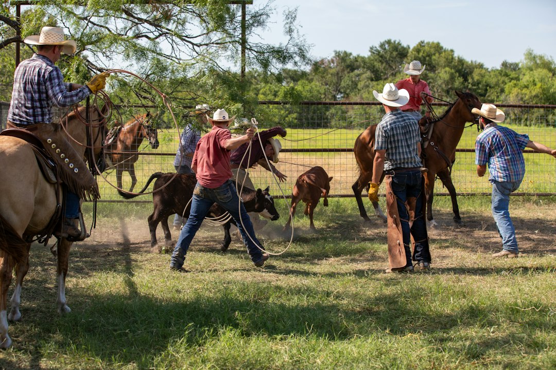 noise desensitization — A group of people riding horses in a field